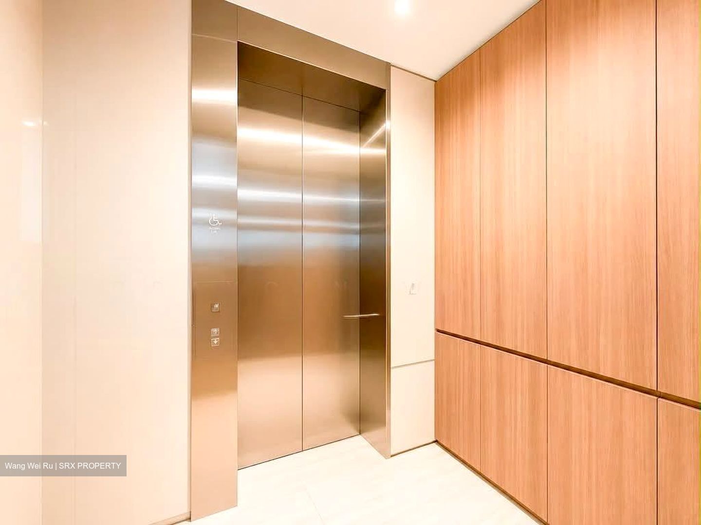Leedon Green (D10), Condominium #586724931